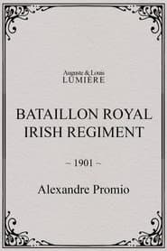 Bataillon Royal Irish Regiment