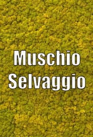 Wild Musk