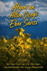 Afyon'un Altın Çiçeği: Eber Sarısı