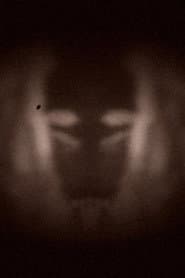 L’effet miroir