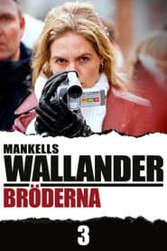 Wallander: The Brothers