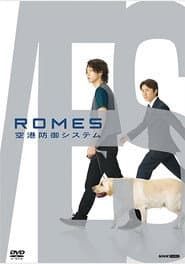 ROMES 空港防御システム