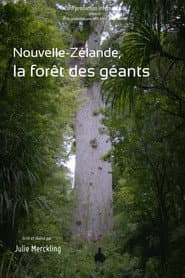 Nouvelle-Zélande, la forêt des géants
