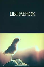 Little Chicken