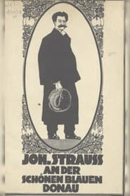 Johann Strauß an der schönen blauen Donau
