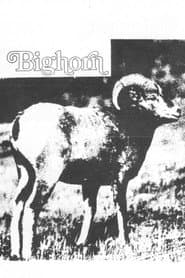 Bighorn