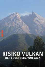Java in Jeopardy - Exploring the Volcano
