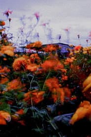 Monet