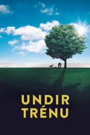 Under the Tree