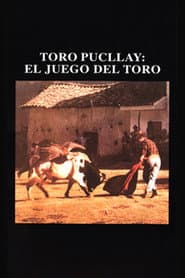 Toro Pucllay