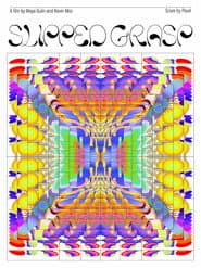 Slipped Grasp