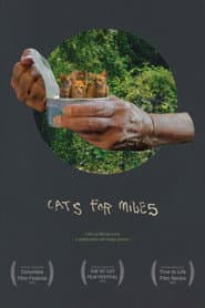 Cats for Miles