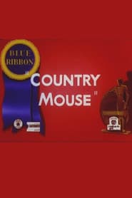 Country Mouse