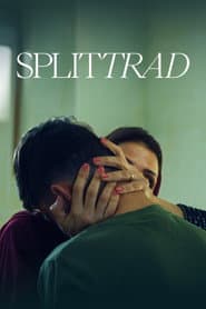 Splittrad