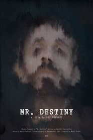 Mr Destiny