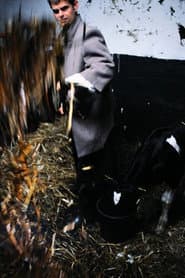 Milk Fever