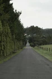 Camiños de Bardaos