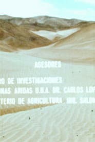 Las Arenas y el Hombre