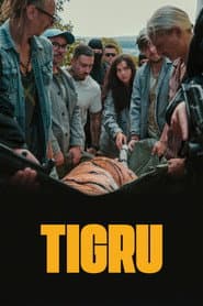 Day of the Tiger