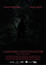 Sasquatch Story No.2