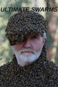 Ultimate Swarms