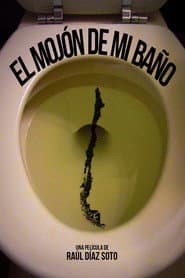The Poop in my Bathroom