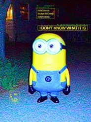 I Don't Know What It Is