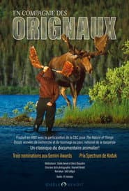 En compagnie des orignaux