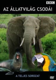 Extraordinary Animals