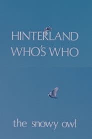 Hinterland Who's Who: The Snowy Owl