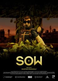 Sow