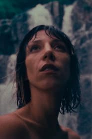 Collision