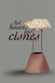 Así hacen los cisnes
