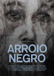 Arroio Negro