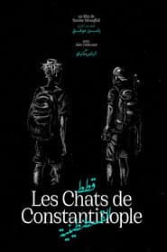 Les Chats de Constantinople
