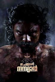 Chengazhi Nambiar