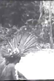 Cerimônias Fúnebres entre os Índios Bororo