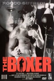 The Boxer