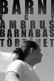 BARNI: A Barnabás Ambrus Story