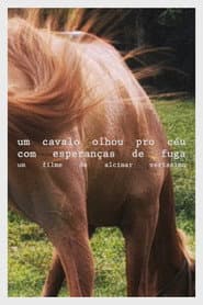 A horse looked at the sky with hope of escape