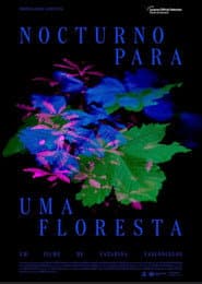Nocturne for a Forest