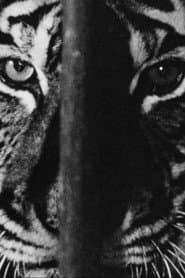 Marguerite Duras in the Lions' Den