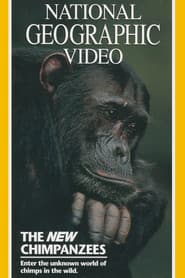 The New Chimpanzees