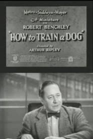 How to Train a Dog