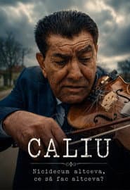 Caliu: Nothing Else, What More Could I Do?