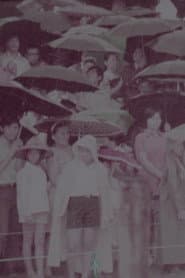 The Dragon Boat Festival