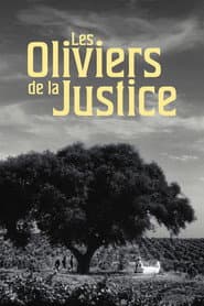 The Olive Trees of Justice