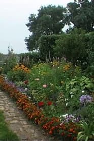 Allons-Y Alonzo: Souvenirs of a Landscape