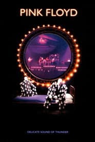 Pink Floyd - Delicate Sound Of Thunder [Remastered]