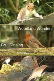Woodland Wonders